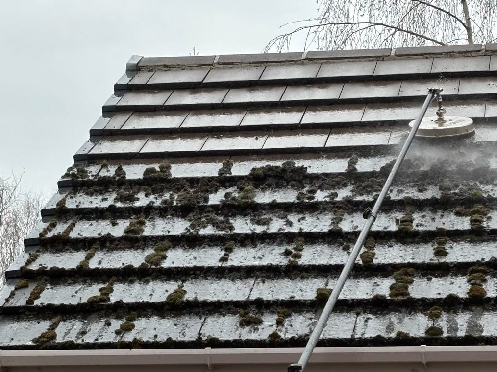 Roof cleaning before and after - moss removal